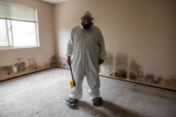 Best Residential Mold Remediation in Carbonville, UT